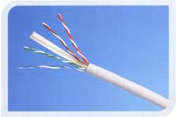 CAT6 UTP Cable — 305M Box