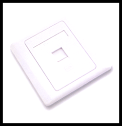 Dual Port Face Plate + Outlet Combo